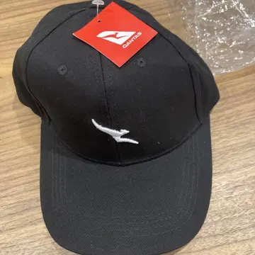 Qantas 블랙 캡 로고 포함