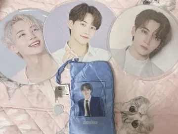 SEVENTEEN 정한 부채&펜라이트 케이스