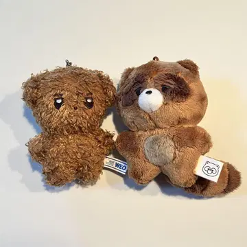 THE BOYZ 선우 봉제 인형