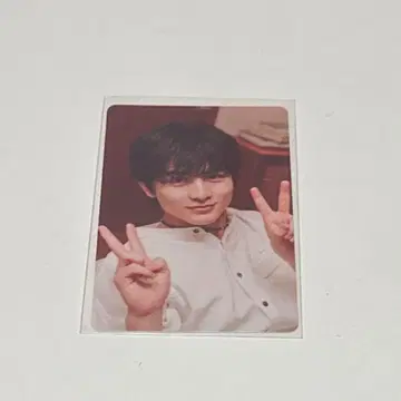 초특급 NINE LIVES 유니버셜 뮤직 트레이딩 카드 하루