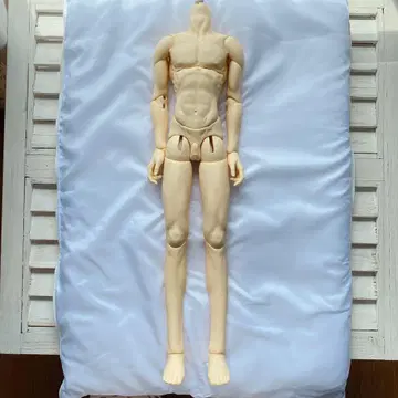 [ 가격 인하 가능 ] 슈퍼돌피 sdgou GOU 바디 본체
