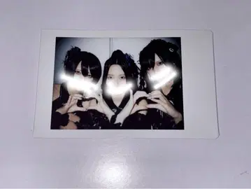 AVAM 페어 아란 폴라로이드