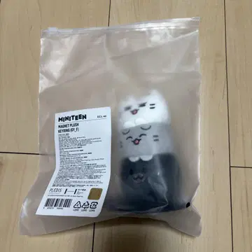 MINITEEN 마그넷 러쉬 키링 준