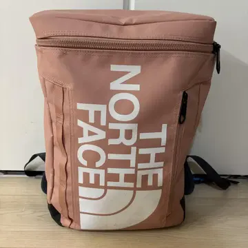 THE NORTH FACE 핑크 백팩 21L