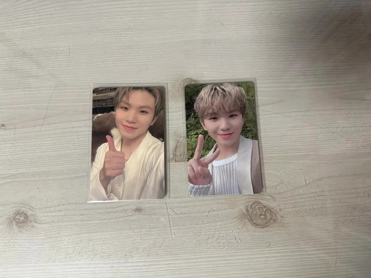 Seventeen woozi Social Club poca