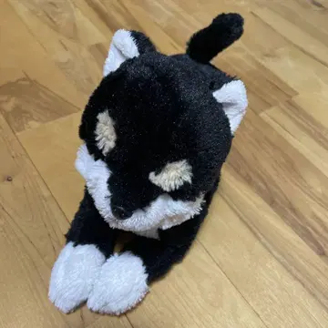 시바견 봉제 인형 빨간 목걸이 포함