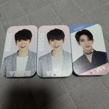 SEVENTEEN 세부치 조슈아 joshua 케이스