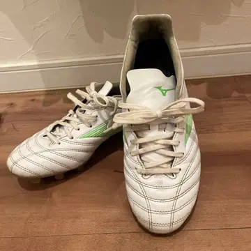 미즈노 모나르시다 네오 PRO 24cm 화이트/그린