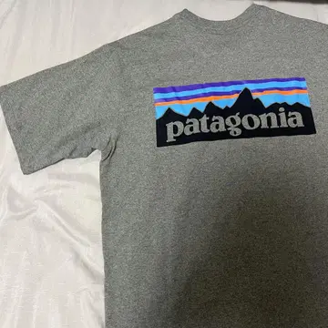 patagonia T셔츠 택 포함 새상품