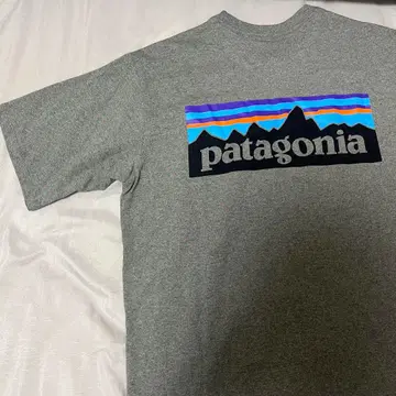 가격 인하! patagonia T셔츠 택 포함 새상품