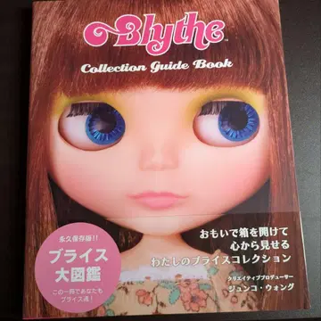 브라이스 컬렉션 가이드북 브라이스 대도감