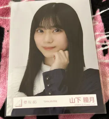 사쿠라자카46 브로마이드 야마시타 시즈키 BAN 요리