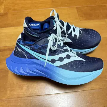 Saucony Endorphin Speed 4