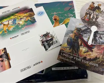 스퀘니 FF TGS 팜플렛 스토리지 박스 쇼핑백 부채