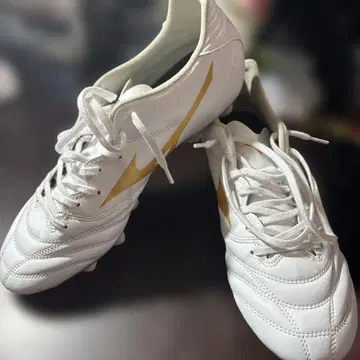MIZUNO 모나르시다 네오 27.0cm
