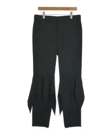 COMME des GARCONS HOMME PLUS 팬츠 (기타) 남성용