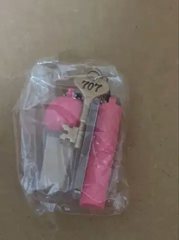 NANA 가챠가챠 하치 미니 참 컬렉션 레어 열쇠 포함 가샤폰
