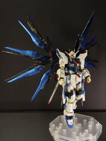 RG 스트라이크 프리덤 건담 (티타늄 피니쉬) 정크