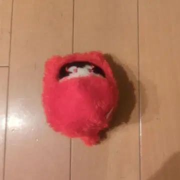 컬러풀 피치 유안군 호두 타피 누이