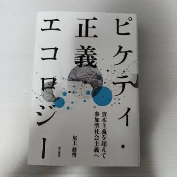 피케티 정의 에콜로지