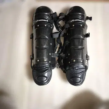 야구 포수 레가스