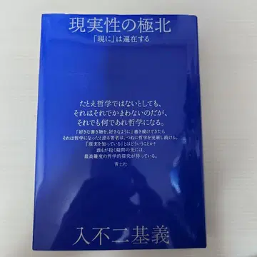 현실성의 극북: [현실에]는 편재한다