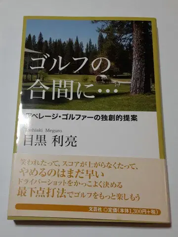 골프 중간에