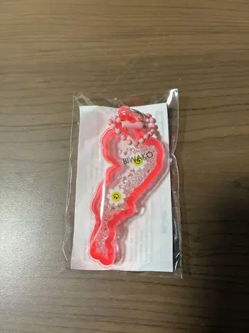 비와코 아크릴 키링