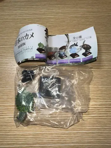 일본의 거북 특장판 네이처 테크니컬러 미시시피붉은귀거북