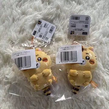 나가노 복권 호랑이 D상 2개