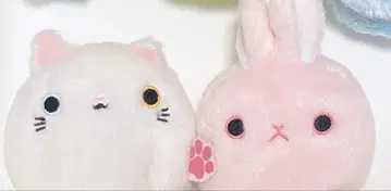 고양이 덩어리 토끼 덩어리 세트