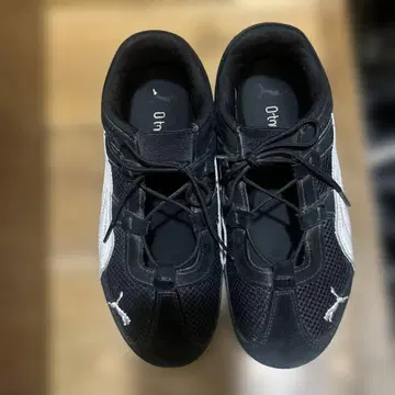 Puma 스피드캣