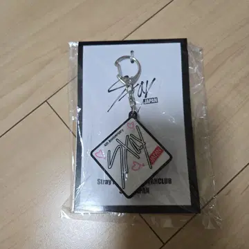 스키즈 키링 현진