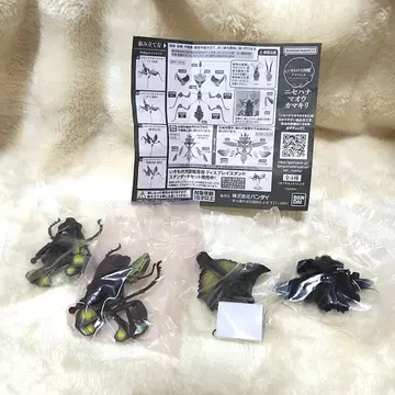 생물대도감 어드밴스 03 꽃사마귀 1령 유충(블랙)