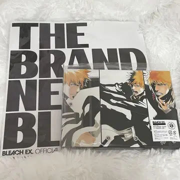 BLEACH EX. 팜플렛 특전