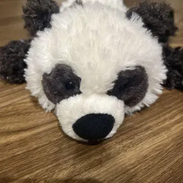 NICI 팬더 필통