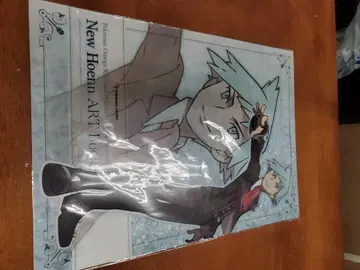 New Hoenn ART Book