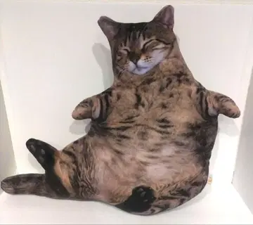 리얼 뚱냥이 쿠션 BIG 고양이 키지토라
