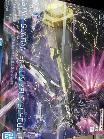 DESTINY GUNDAM Special & ZEUS SILHOUETTE