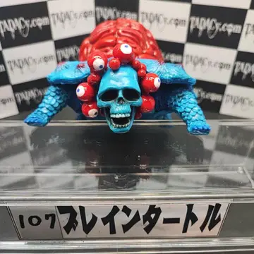 107 브레인 터틀