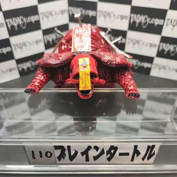 110 브레인 터틀