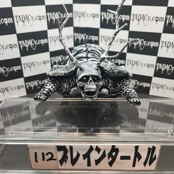 112 브레인 터틀