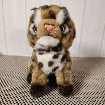 카로라타 리얼 애니멀 베이비 이리오모테야마네코 아기 봉제 인형