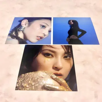 이이에리 레오 아나더 자켓 Another jacket 3장 세트
