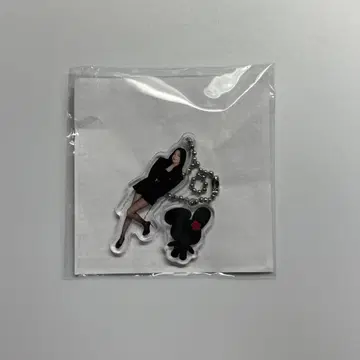 아이린 아크릴 키링