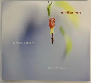 새상품급 Melaine Dalibert & David Sylvian CD