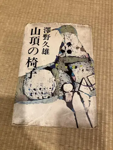 산정의 의자 사와노 히사오 신초샤
