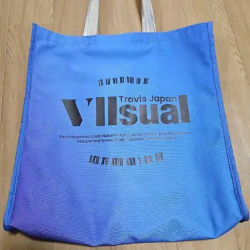 TravisJapan Vllsual 2025 투어백