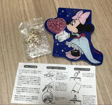 사만사 베가 패스 케이스
