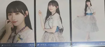 노기자카46 브로마이드 카와사키 벚꽃 잔물결은 돌아오지 않아